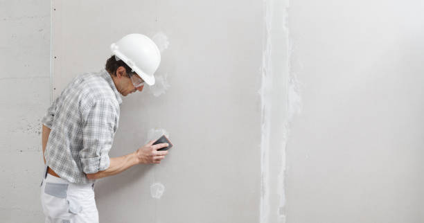 Best Attic Mold Removal  in Lowell, OR