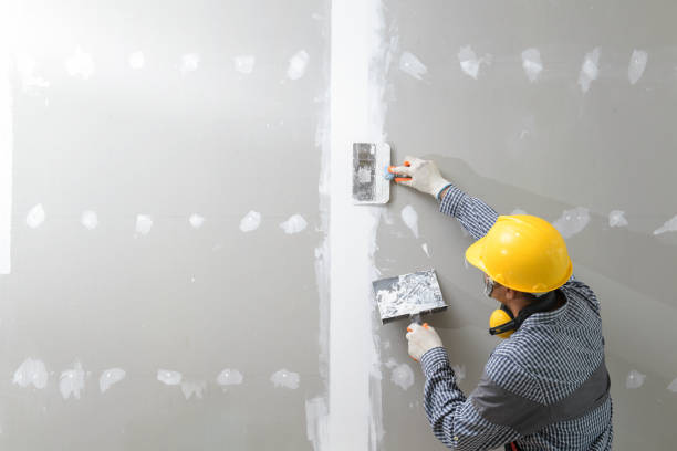 Best Post-Construction Mold Inspection  in Lowell, OR